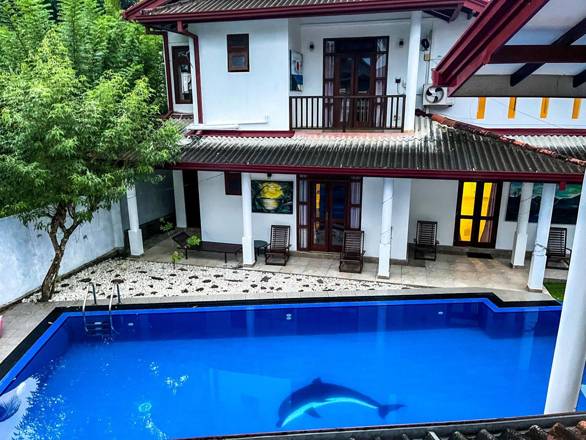 Galle Camellia Экстерьер фото