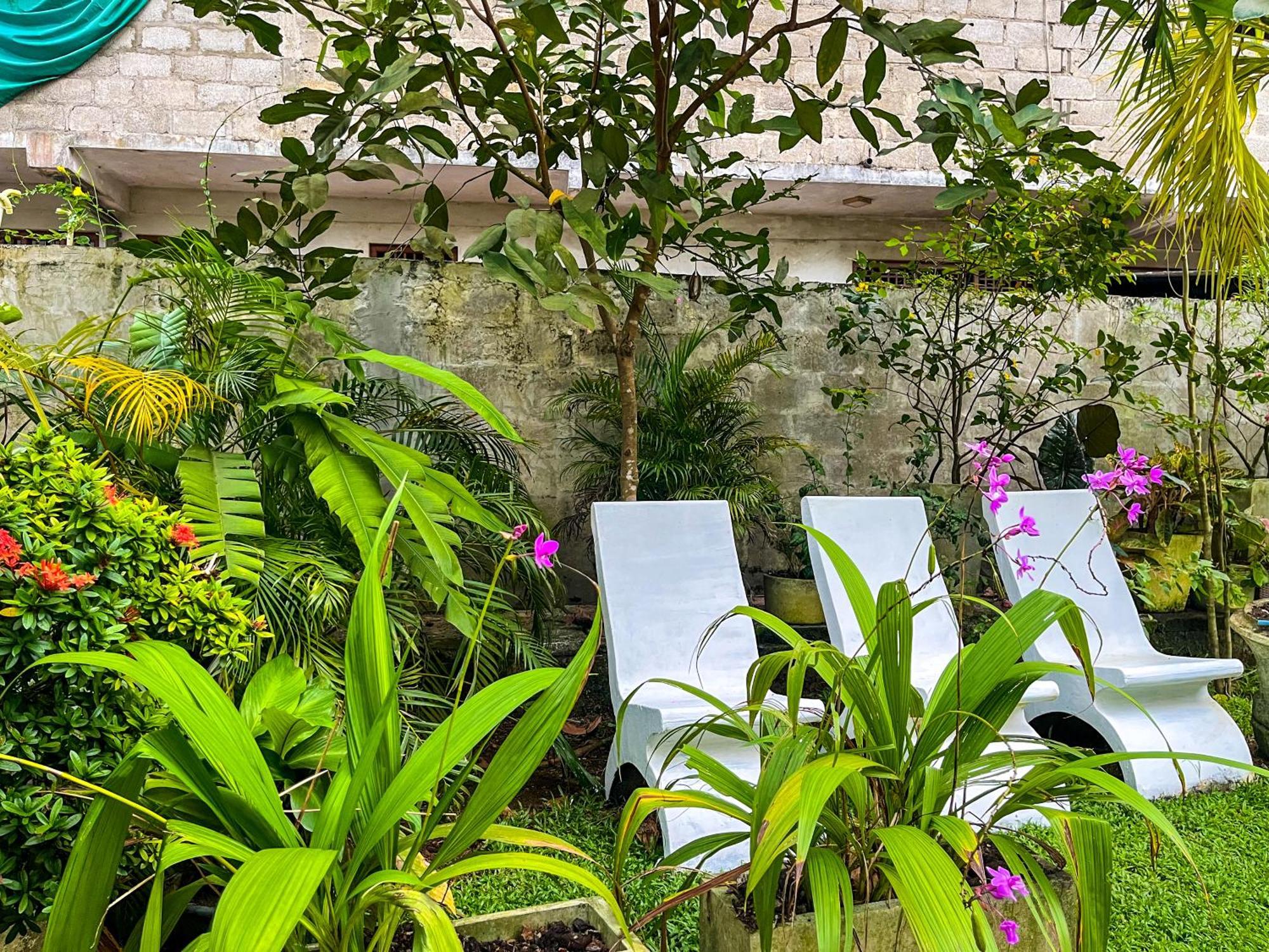 Galle Camellia Экстерьер фото